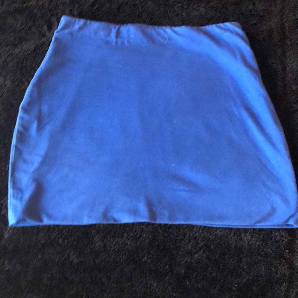 Express Blue Skirt